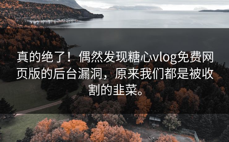真的绝了！偶然发现糖心vlog免费网页版的后台漏洞，原来我们都是被收割的韭菜。