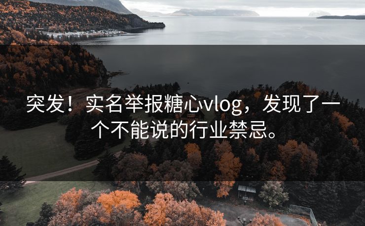 突发！实名举报糖心vlog，发现了一个不能说的行业禁忌。