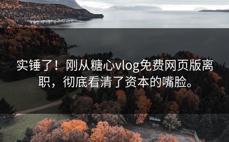 实锤了！刚从糖心vlog免费网页版离职，彻底看清了资本的嘴脸。